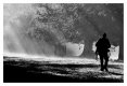 On Patrol 001.jpg