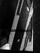 nov 07 (1 of 1).jpg