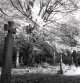 2011-11-1, 124G, Ilford SFX, BothalSilverfast 2400dpi,3.jpg