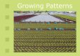 growth patterns.jpg