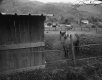 Stable horse Sospel 2020 Small File TP.jpg