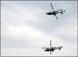 Wildcat helicopter display team at Dawlish Air Show 5D 9697.JPG
