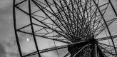 Ferris Wheel.jpg