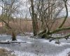 DSC04200.jpg DSC04200.jpg