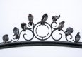 birds (1 of 1).jpg
