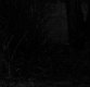 100% crop of original 2 TP.jpg 100% crop of original 2 TP.jpg