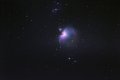 Orion Nebula web.jpg