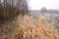 DSCF0504.jpg