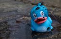 Mucky Ducky.jpg