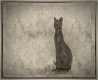 Week 4 - TALL - N5C_2442-2-sm.jpg
