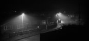 Misty Night-1003602 PS Adj.jpg