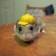 Hard Hat Hamster.jpg