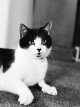 2021-02-13-hp5at1600-eos1v-04.jpg