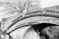 Bridge 97.JPG Bridge 97.JPG