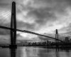 Feb 15 (1 of 1)-3.jpg