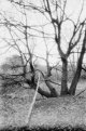2021-02-20-washif-canonf1n-30.jpg