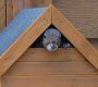 Squirrel in Bird House.Small.jpg