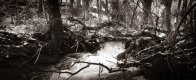2-21-2-8 Throckley Dene, Horizon, HP5, EI400, HC110 Dil E,006-2.jpg