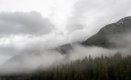 Feb 22 -FOG.jpg