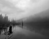 Feb 22 (1 of 1)-4.jpg
