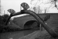 Bridge 99.JPG Bridge 99.JPG