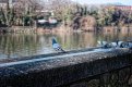 L1004520_DxO-v50-2-f.jpg