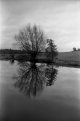 Zeiss Ikon Contina-1.JPG