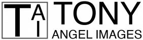 Logo-1 copy_cropped.png
