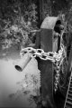 Shiny New Chain.JPG