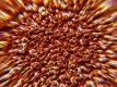 PSX_20210315_194511.jpg