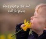 Don't forget to stop and smell the flowers.jpg