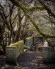 mar 13 (1 of 1)-2.jpg