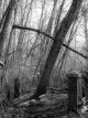 mar 13 (1 of 1)-3.jpg
