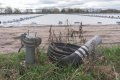 _7516908.jpg