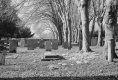 1502BLCLBW14.jpg 1502BLCLBW14.jpg