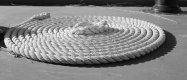 1503CLCLBW21.jpg 1503CLCLBW21.jpg