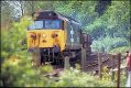 Diesel railway engine Crediton Devon IMG0023.jpg