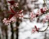 apr 04 (1 of 1)-4.jpg