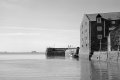 1504DLCLBW29.jpg
