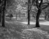 1505EVB3BW24.jpg