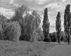 1506BVB3BW02.jpg