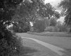 1506BVB3BW03.jpg