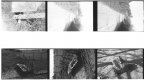filmscan.jpg filmscan.jpg