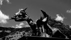 Dragon Niederau Austria Zeiss Mess Ikonta B16.jpg Dragon Niederau Austria Zeiss Mess Ikonta B16.jpg