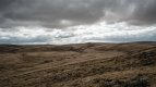 Taw Marsh-3802 PS Adj.jpg Taw Marsh-3802 PS Adj.jpg