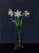 Week 14 - SPRING.jpg