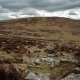 Grimspound and Hemmel Down Tor-3843.jpg Grimspound and Hemmel Down Tor-3843.jpg