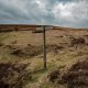 Signpost-3860.jpg Signpost-3860.jpg