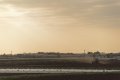 _7519131.jpg