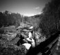 img601-copy-tp.jpg